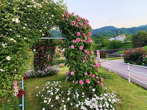 Fukuso School District Volunteer Association: Rainbow Association (Ashida-cho)